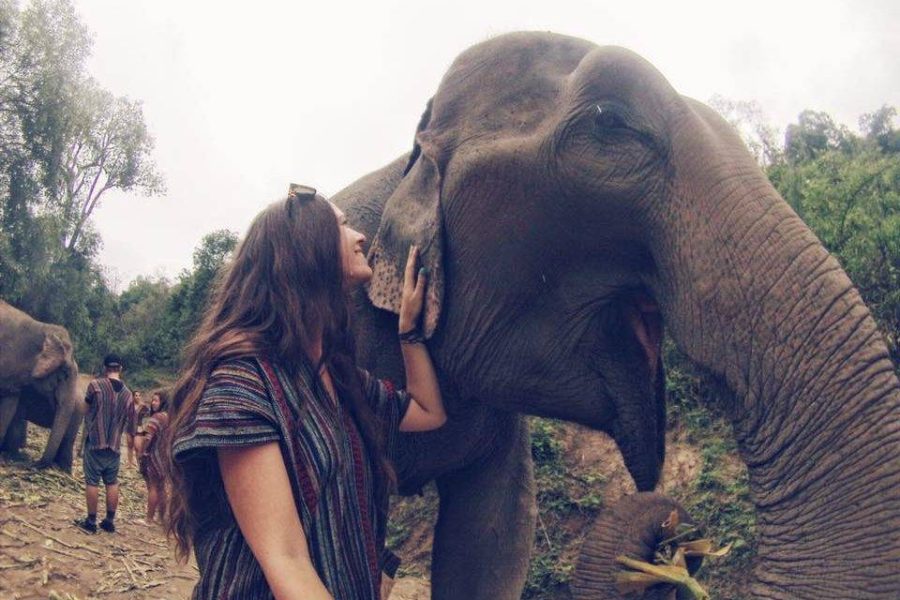 Full Day Elephant Sanctuary, Deerland Park and Batu Caves Tour from Kuala Lumpur (Private)