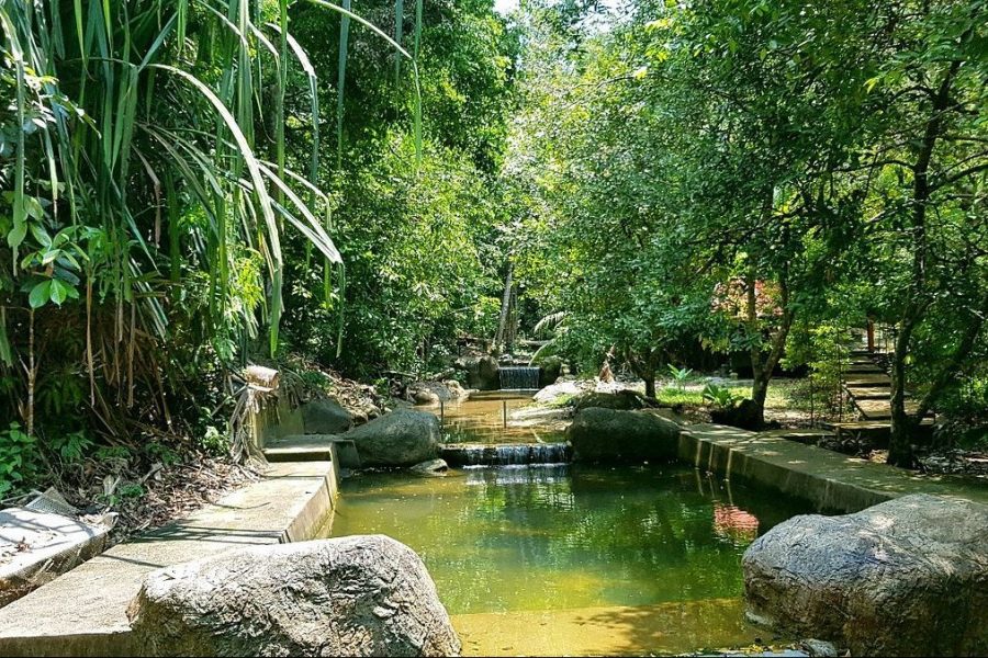 Half Day Penang Round Island Discovery Tour (Private)