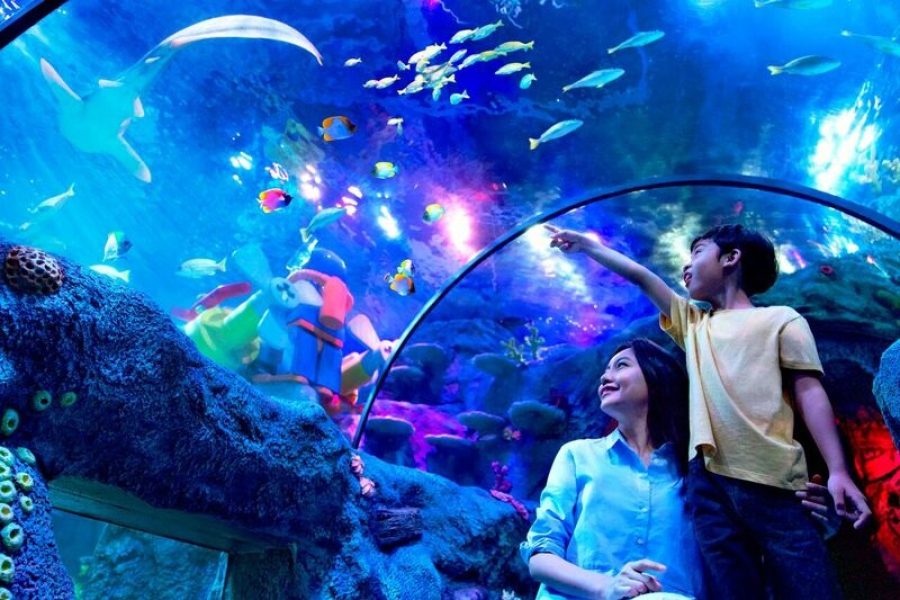 Legoland Sea Life Ticket (Malaysian / Foreigner)