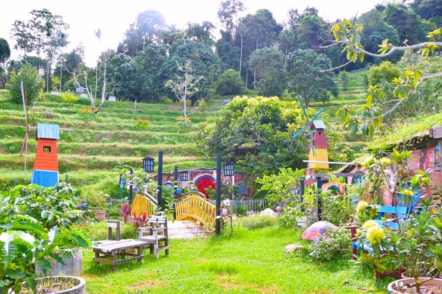 Penang Tropical Fruit Farm Ticket (Foreigner)