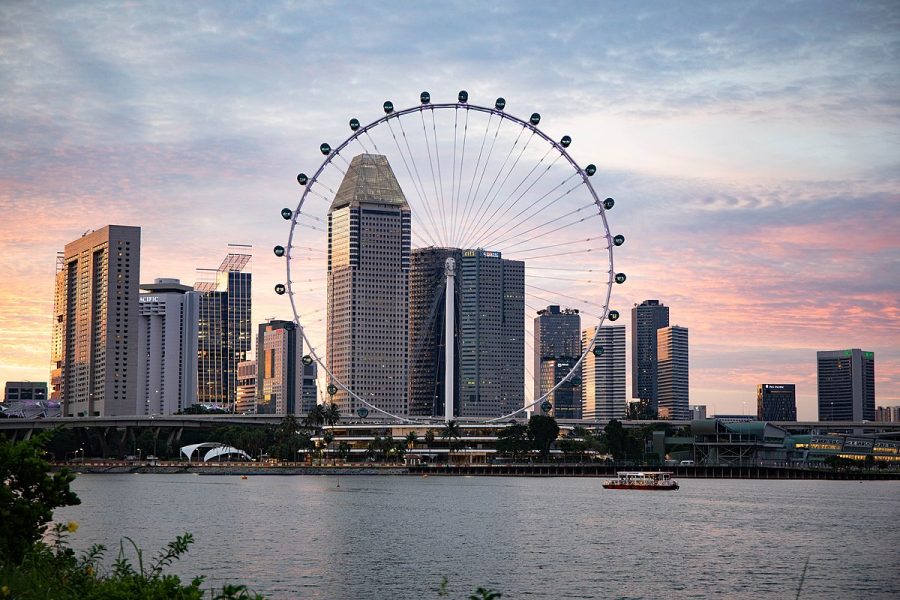 Singapore Flyer + Time Capsule Ticket (Foreigners)