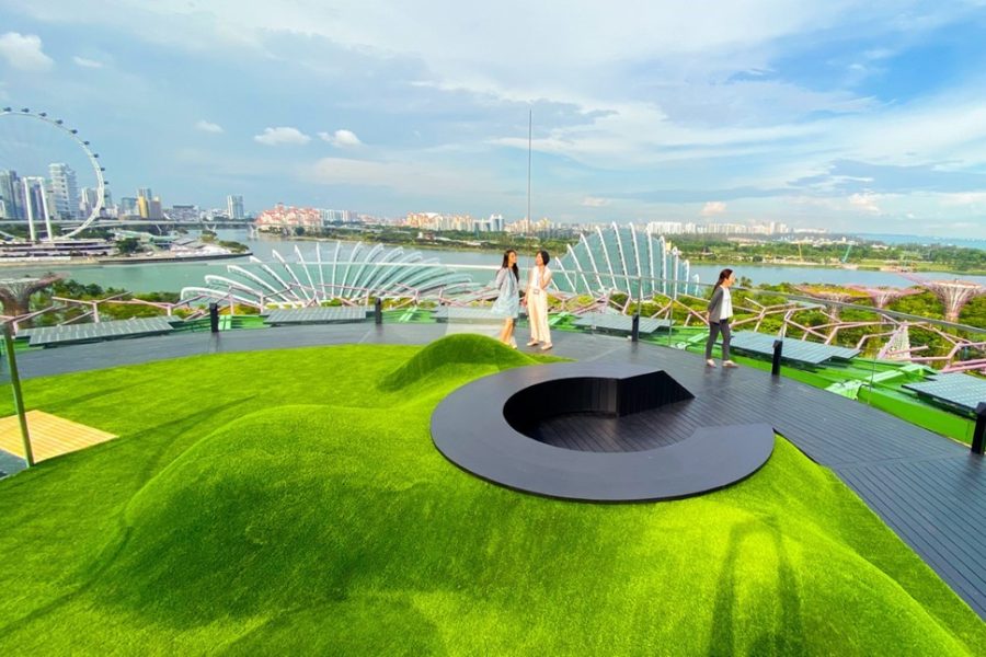 Gardens by the Bay Combo – Flower Dome + Super Tree + Floral Fantasy (Foreigner)