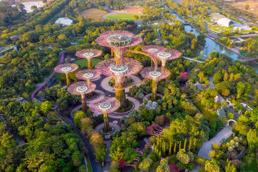 Gardens by the Bay Singapore Ticket – Cloud Forest + Super Tree (Foreigner)